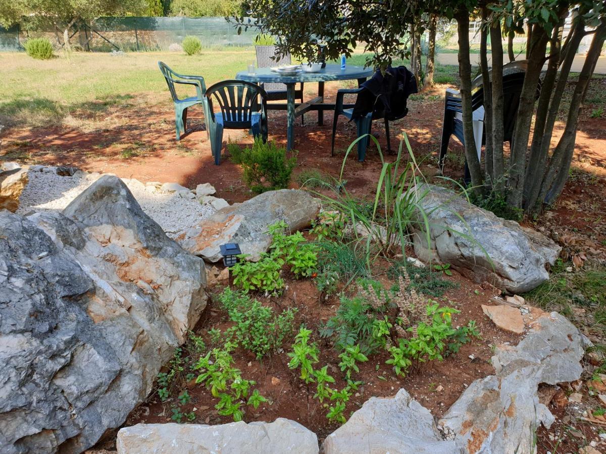 Olive Apartments Ugljan Luaran gambar