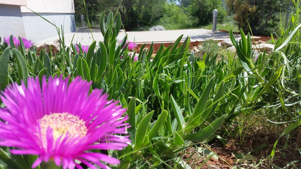 Olive Apartments Ugljan Luaran gambar