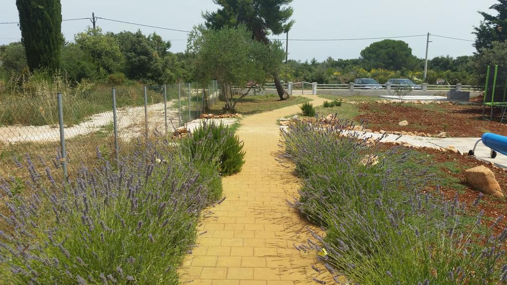 Olive Apartments Ugljan Luaran gambar
